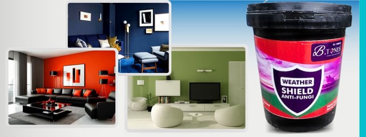 b tones paint 9 b tones paint 9